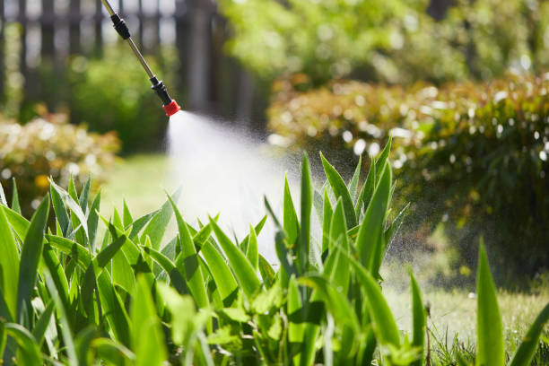 24/7 Emergency Termite Control experts in Nicholasville, KY