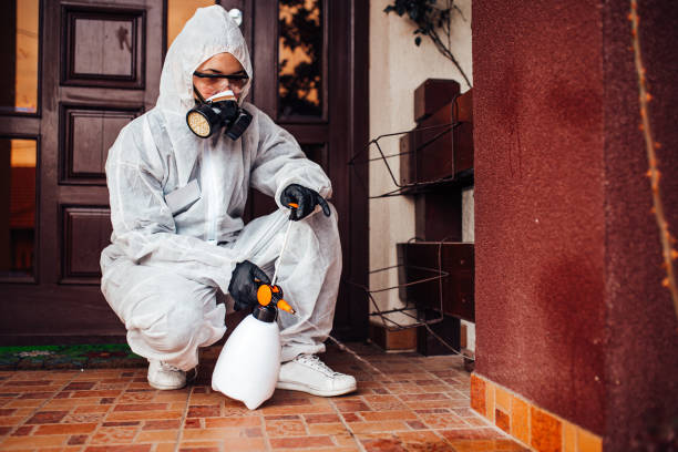 Reliable Termite Control contractor in Nicholasville, KY by Nex Pest Control